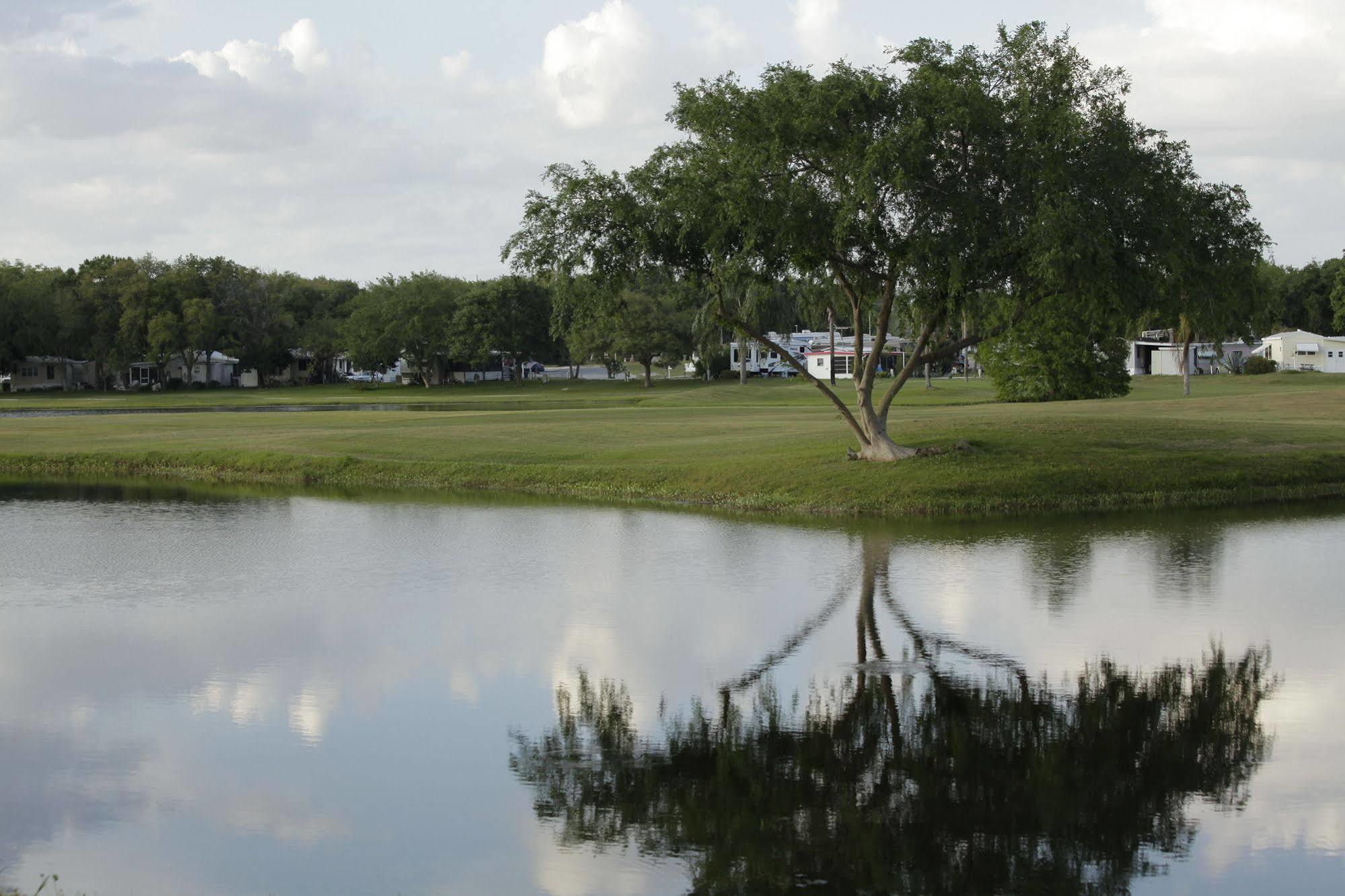 Clerbrook Golf & Rv Resort Caravan Park Clermont Exteriör bild